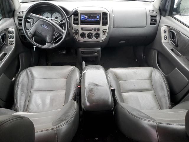 2004 Ford Escape XLT