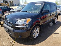 Salvage cars for sale at Elgin, IL auction: 2011 KIA Soul +