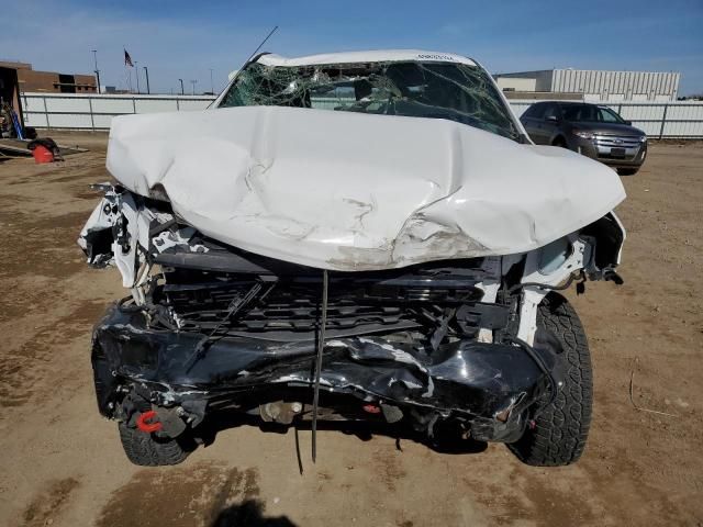 2019 Chevrolet Silverado K1500 Trail Boss Custom