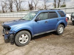 Salvage cars for sale from Copart West Mifflin, PA: 2010 Ford Escape XLT