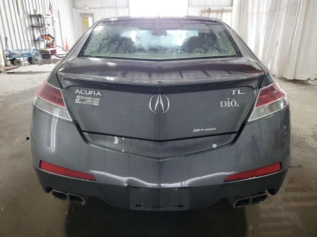 2010 Acura TL