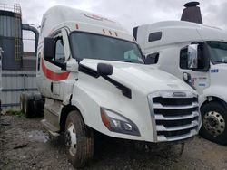 Camiones con verificación Run & Drive a la venta en subasta: 2023 Freightliner Cascadia 126