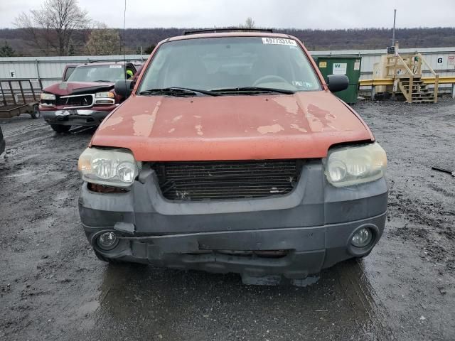 2006 Ford Escape XLT