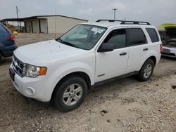 Salvage cars for sale at Temple, TX auction: 2008 Ford Escape HEV