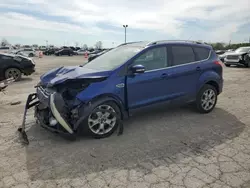 Salvage cars for sale at Indianapolis, IN auction: 2015 Ford Escape Titanium