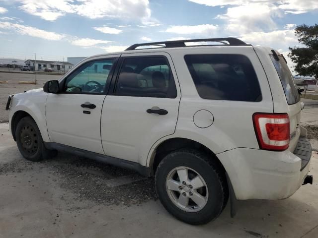 2010 Ford Escape XLT