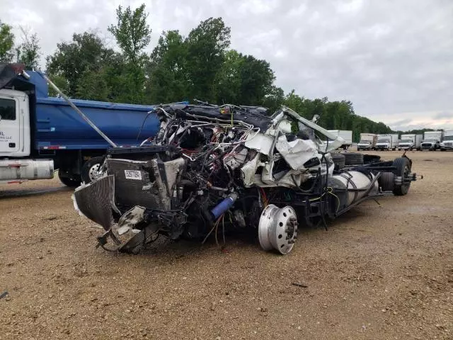 2021 Freightliner Cascadia 126