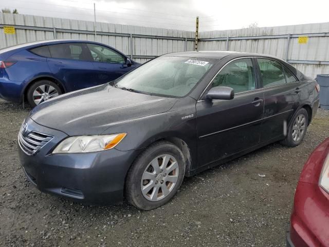 2007 Toyota Camry Hybrid