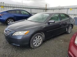 Toyota Camry Hybrid salvage cars for sale: 2007 Toyota Camry Hybrid