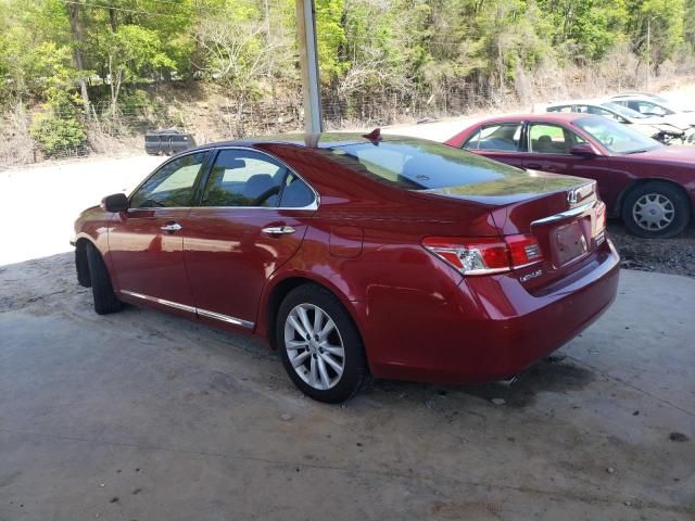 2010 Lexus ES 350