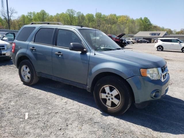 2011 Ford Escape XLT