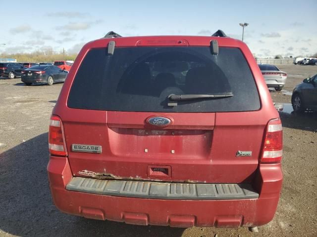 2010 Ford Escape XLT