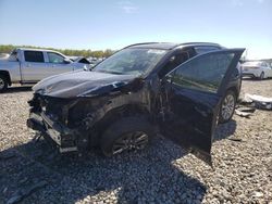 Salvage cars for sale at Memphis, TN auction: 2019 Toyota Rav4 Limited