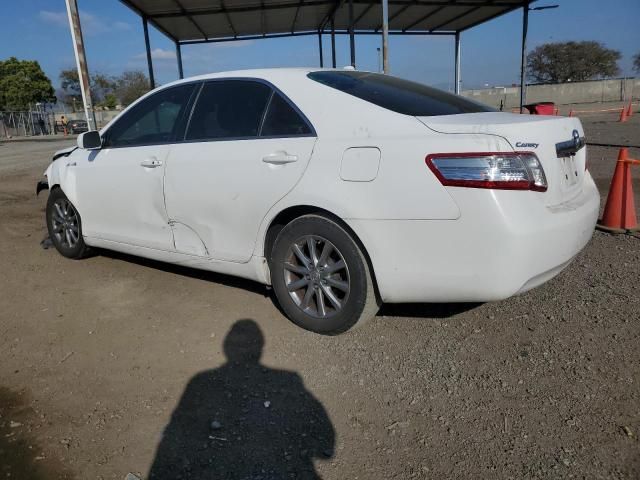 2010 Toyota Camry Hybrid