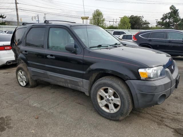 2007 Ford Escape XLT