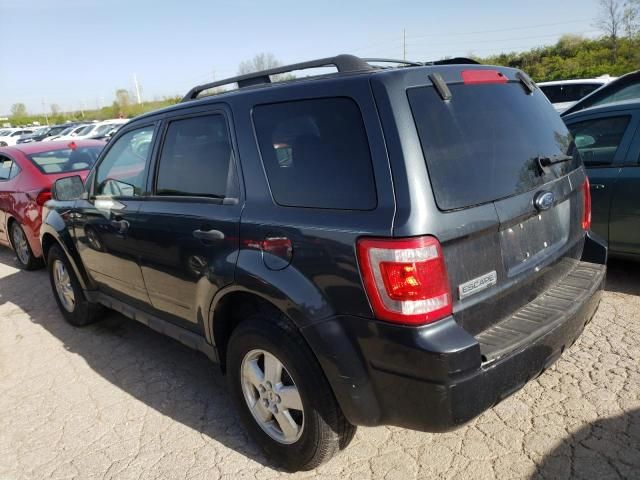 2009 Ford Escape XLT