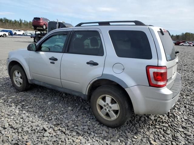 2011 Ford Escape XLT