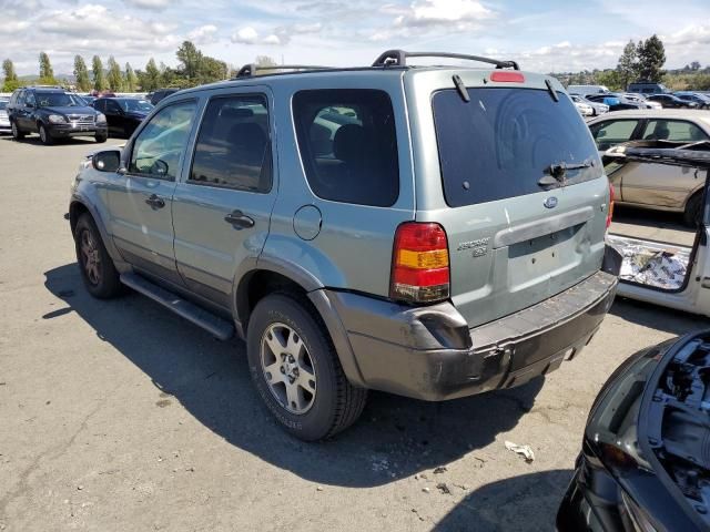 2005 Ford Escape XLT