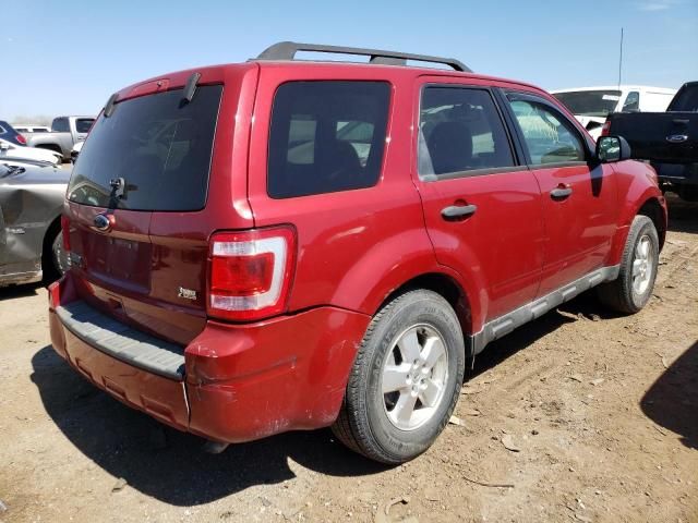 2010 Ford Escape XLT