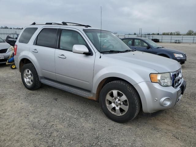 2011 Ford Escape Limited