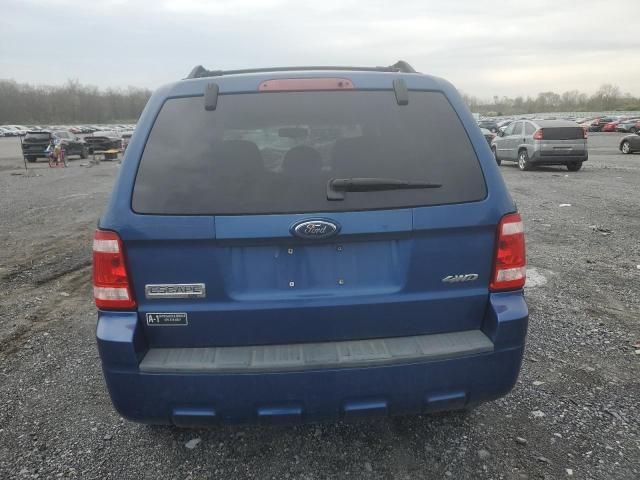 2008 Ford Escape XLT