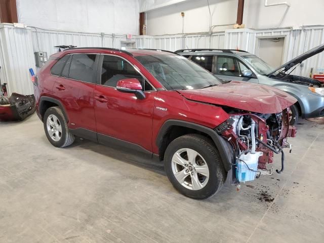 2019 Toyota Rav4 XLE