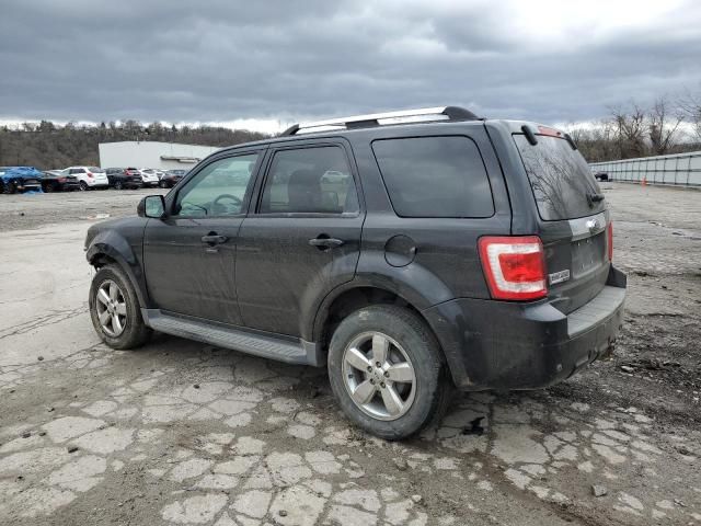 2009 Ford Escape Limited