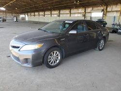 Salvage cars for sale from Copart Phoenix, AZ: 2010 Toyota Camry Hybrid