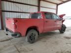 2019 Chevrolet Silverado K1500 Trail Boss Custom