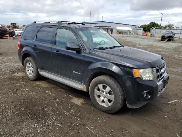 2009 Ford Escape Hybrid