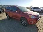 2010 Toyota Rav4 Limited