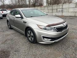 KIA Optima Hybrid salvage cars for sale: 2012 KIA Optima Hybrid