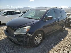 Honda salvage cars for sale: 2007 Honda Odyssey EXL