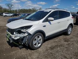 Salvage cars for sale at Des Moines, IA auction: 2016 Ford Escape SE