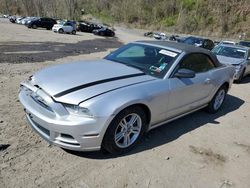 Salvage cars for sale at Marlboro, NY auction: 2014 Ford Mustang