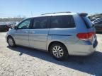 2008 Honda Odyssey EXL