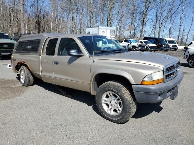 2004 Dodge Dakota SXT