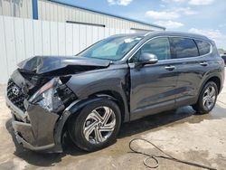 Salvage cars for sale from Copart Riverview, FL: 2023 Hyundai Santa FE SEL