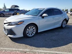 Salvage cars for sale from Copart Rancho Cucamonga, CA: 2023 Toyota Camry LE