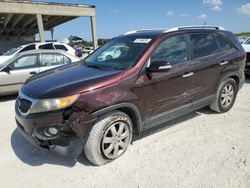 Salvage cars for sale at West Palm Beach, FL auction: 2012 KIA Sorento Base