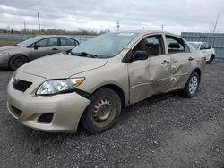 Salvage cars for sale from Copart Ontario Auction, ON: 2010 Toyota Corolla Base