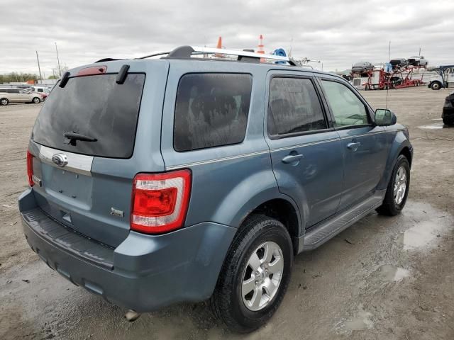 2010 Ford Escape Limited