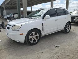 Vehiculos salvage en venta de Copart West Palm Beach, FL: 2014 Chevrolet Captiva LT