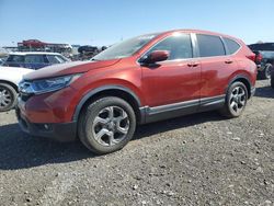 Salvage cars for sale at Columbus, OH auction: 2019 Honda CR-V EX