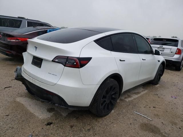 2020 Tesla Model Y