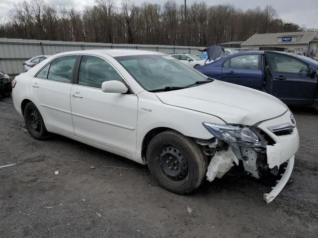 2011 Toyota Camry Hybrid