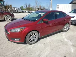 Ford salvage cars for sale: 2015 Ford Focus SE