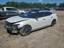 Salvage cars for sale at Conway, AR auction: 2019 Nissan Maxima S