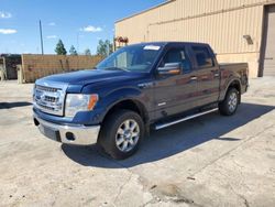 Salvage cars for sale at Gaston, SC auction: 2013 Ford F150 Supercrew