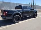 2019 Ford F150 Rapto